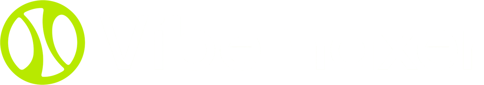 Vibemaxer